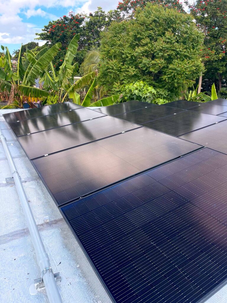 Paneles o placas solares montados sobre un techo, con exuberante vegetación tropical en el fondo, destacando una transición hacia energías renovables en un entorno natural.